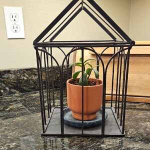 Black Metal Plant Cage